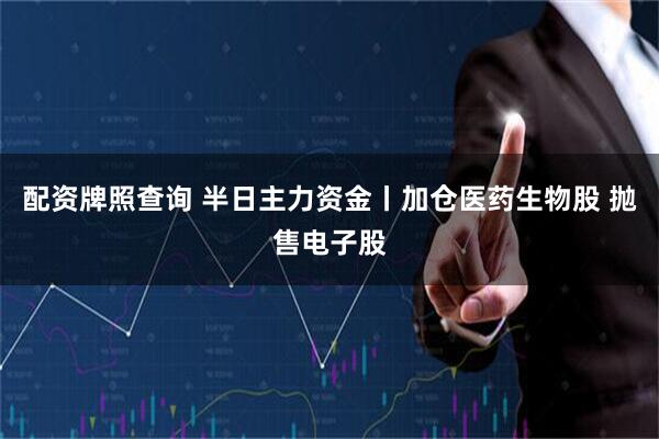 配资牌照查询 半日主力资金丨加仓医药生物股 抛售电子股