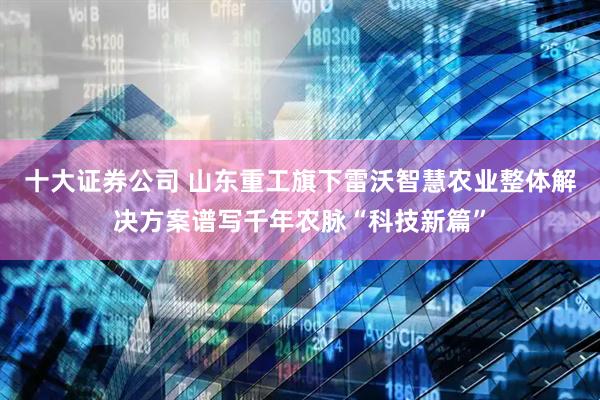 十大证券公司 山东重工旗下雷沃智慧农业整体解决方案谱写千年农脉“科技新篇”